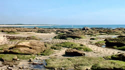 Bretagne bei Ebbe